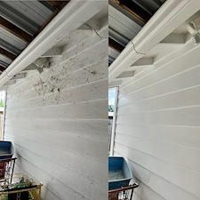 Restoring-a-Vinyl-Sided-Home-in-Corpus-Christi-TX-Soft-Wash-Success 9